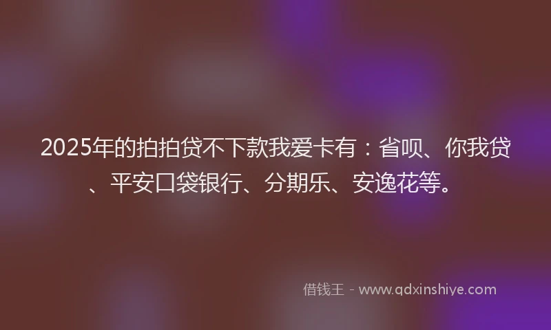 2025年的拍拍贷不下款我爱卡有：省呗、你我贷、平安口袋银行、分期乐、安逸花等。