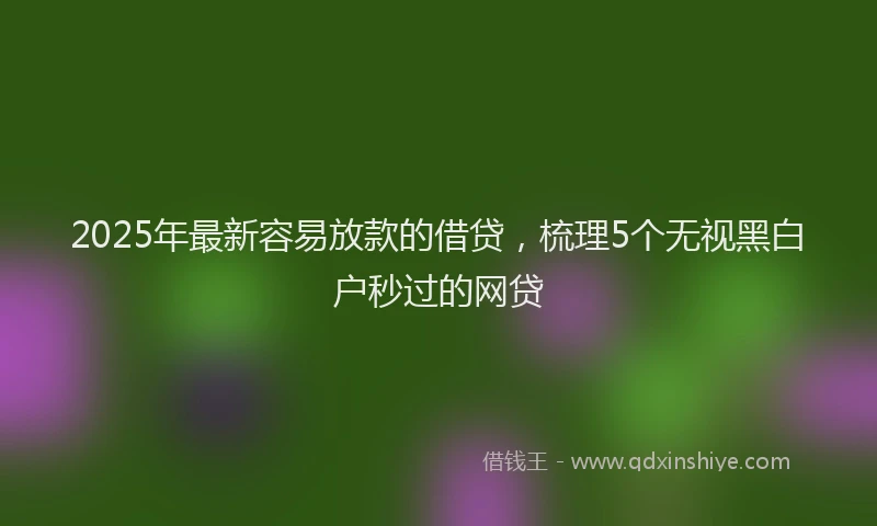 2025年最新容易放款的借贷，梳理5个无视黑白户秒过的网贷
