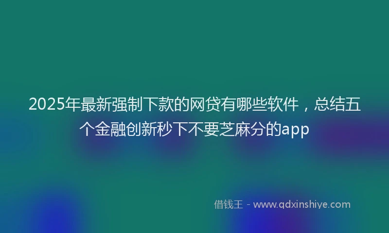 2025年最新强制下款的网贷有哪些软件，总结五个金融创新秒下不要芝麻分的app