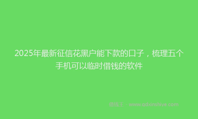 2025年最新征信花黑户能下款的口子，梳理五个手机可以临时借钱的软件