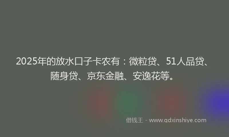 2025年的放水口子卡农有：微粒贷、51人品贷、随身贷、京东金融、安逸花等。