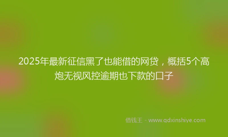 2025年最新征信黑了也能借的网贷，概括5个高炮无视风控逾期也下款的口子