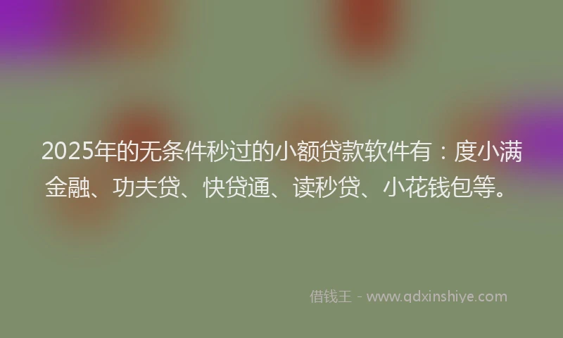 2025年的无条件秒过的小额贷款软件有：度小满金融、功夫贷、快贷通、读秒贷、小花钱包等。