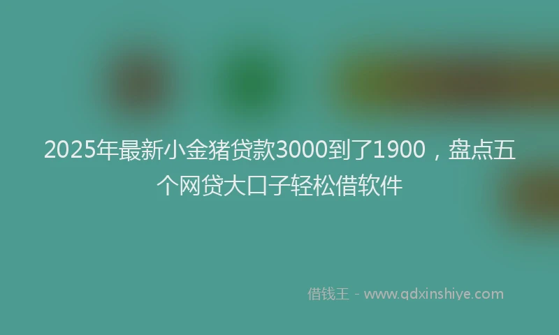 2025年最新小金猪贷款3000到了1900，盘点五个网贷大口子轻松借软件