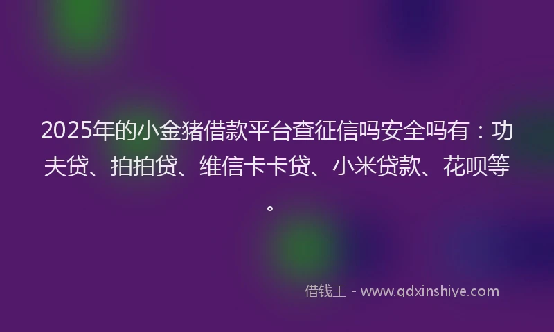 2025年的小金猪借款平台查征信吗安全吗有：功夫贷、拍拍贷、维信卡卡贷、小米贷款、花呗等。