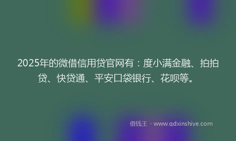 2025年的微借信用贷官网有：度小满金融、拍拍贷、快贷通、平安口袋银行、花呗等。