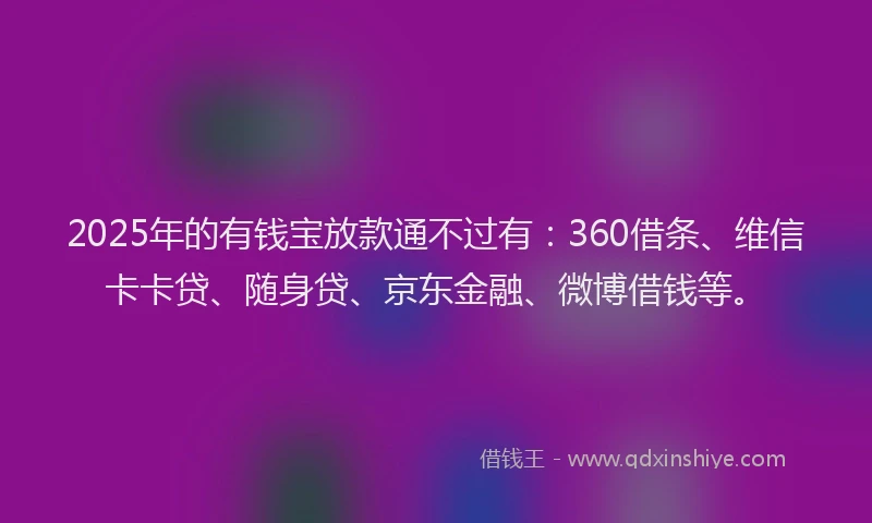 2025年的有钱宝放款通不过有：360借条、维信卡卡贷、随身贷、京东金融、微博借钱等。