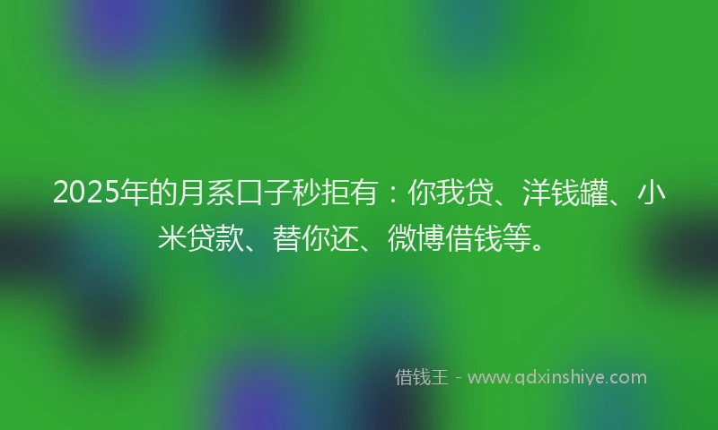 2025年的月系口子秒拒有：你我贷、洋钱罐、小米贷款、替你还、微博借钱等。