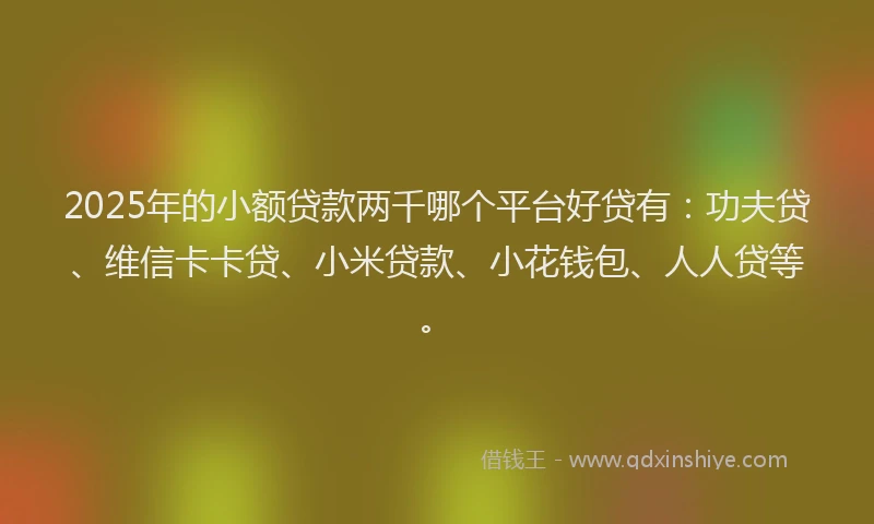 2025年的小额贷款两千哪个平台好贷有：功夫贷、维信卡卡贷、小米贷款、小花钱包、人人贷等。