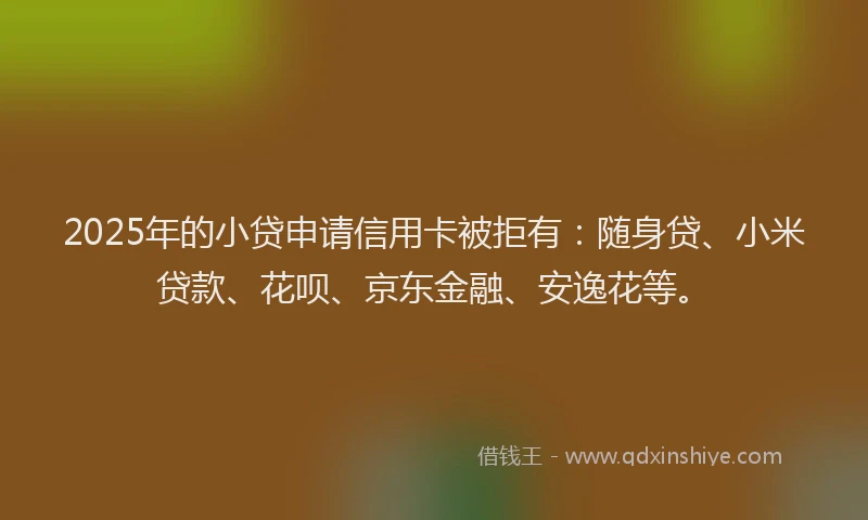 2025年的小贷申请信用卡被拒有：随身贷、小米贷款、花呗、京东金融、安逸花等。