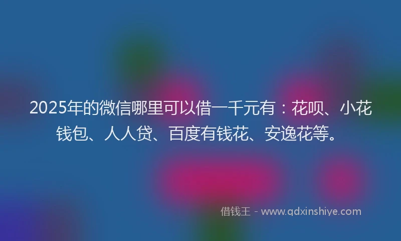 2025年的微信哪里可以借一千元有：花呗、小花钱包、人人贷、百度有钱花、安逸花等。