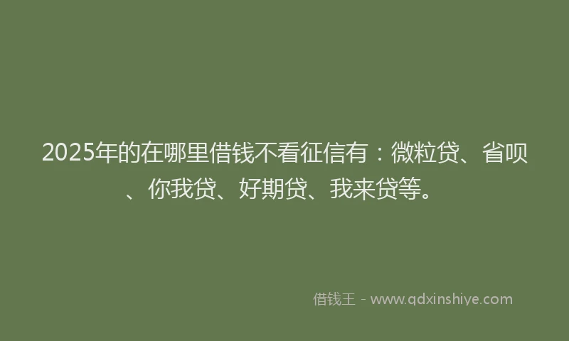 2025年的在哪里借钱不看征信有：微粒贷、省呗、你我贷、好期贷、我来贷等。