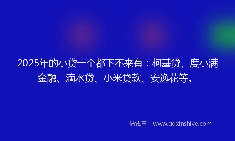 2025年的小贷一个都下不来有：柯基贷、度小满金融、滴水贷、小米贷款、安逸花等。