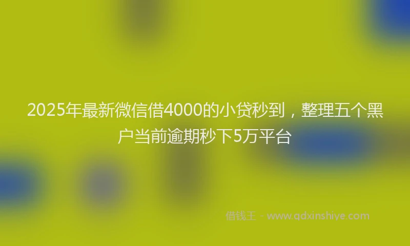 2025年最新微信借4000的小贷秒到，整理五个黑户当前逾期秒下5万平台
