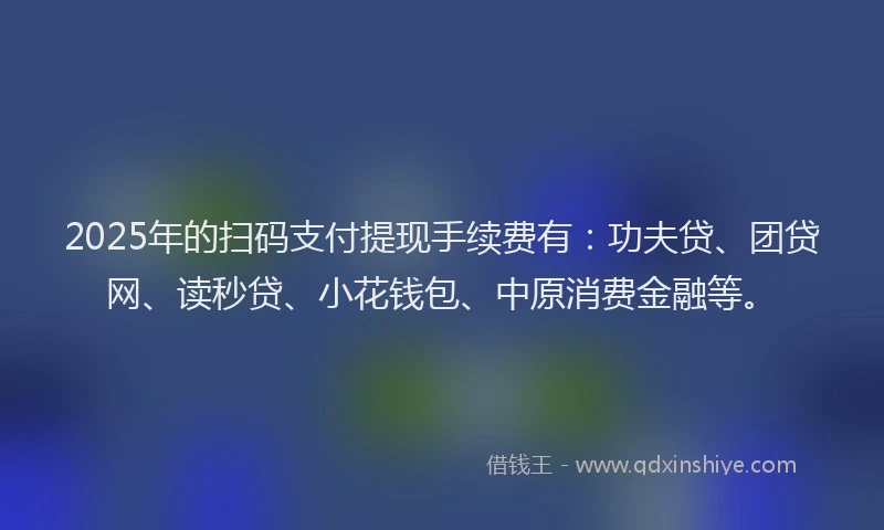 2025年的扫码支付提现手续费有：功夫贷、团贷网、读秒贷、小花钱包、中原消费金融等。