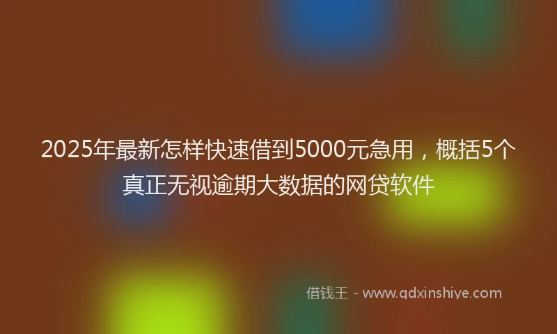 2025年最新怎样快速借到5000元急用，概括5个真正无视逾期大数据的网贷软件