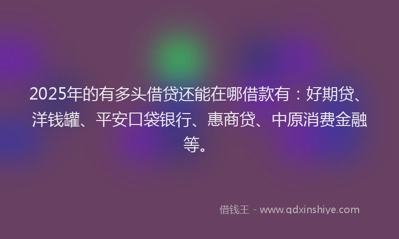 2025年的有多头借贷还能在哪借款有:好期贷、洋钱罐、平安口袋银行、惠商贷、中原消费金融等。
