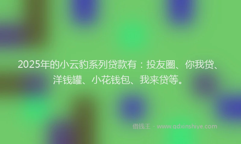 2025年的小云豹系列贷款有：投友圈、你我贷、洋钱罐、小花钱包、我来贷等。