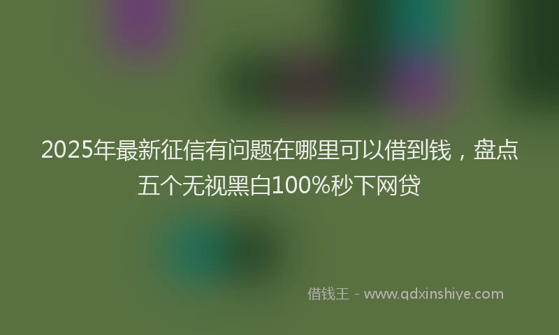 2025年最新征信有问题在哪里可以借到钱，盘点五个无视黑白100%秒下网贷