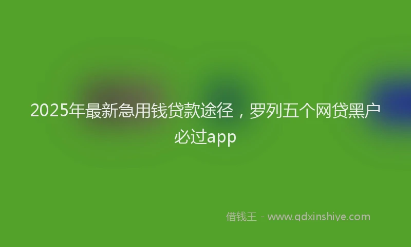 2025年最新急用钱贷款途径，罗列五个网贷黑户必过app