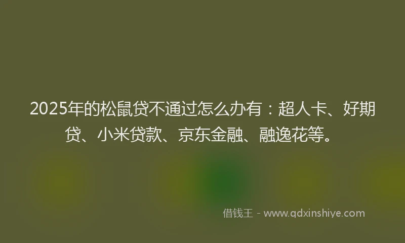 2025年的松鼠贷不通过怎么办有：超人卡、好期贷、小米贷款、京东金融、融逸花等。