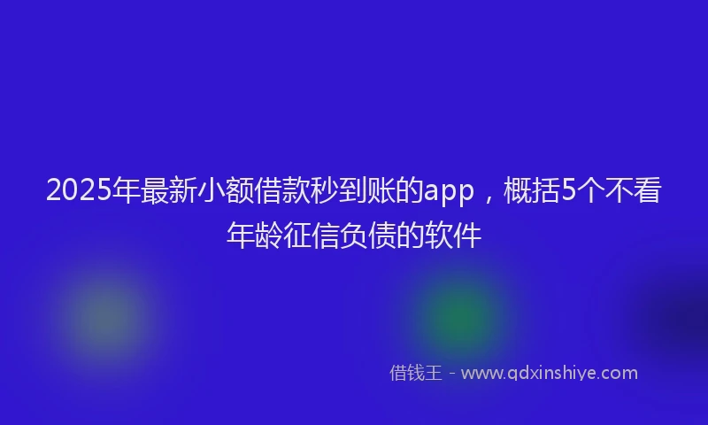 2025年最新小额借款秒到账的app，概括5个不看年龄征信负债的软件