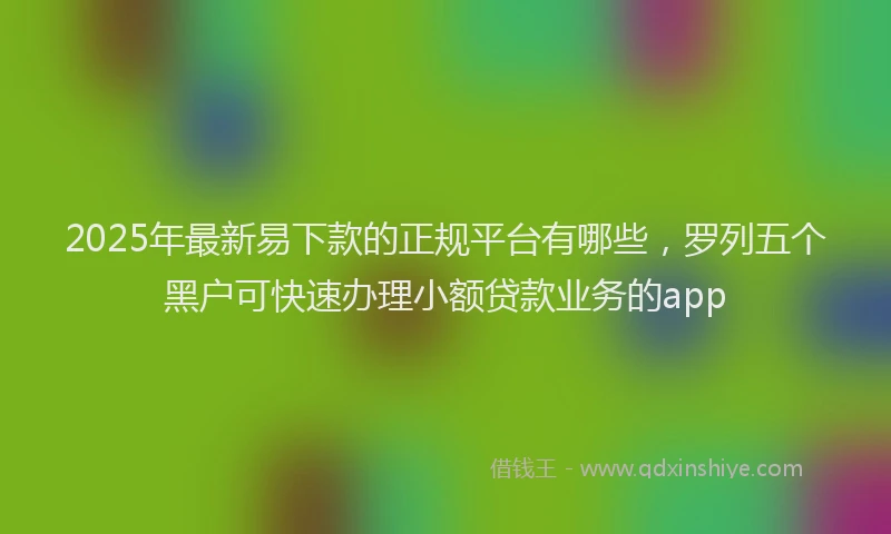 2025年最新易下款的正规平台有哪些，罗列五个黑户可快速办理小额贷款业务的app