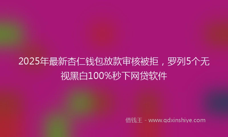 2025年最新杏仁钱包放款审核被拒，罗列5个无视黑白100%秒下网贷软件