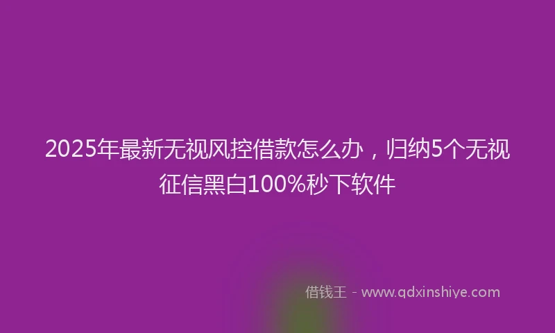 2025年最新无视风控借款怎么办，归纳5个无视征信黑白100%秒下软件