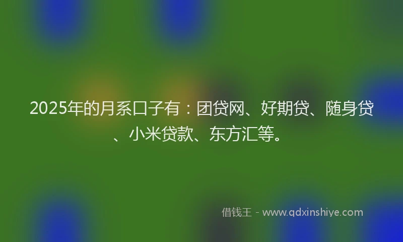2025年的月系口子有：团贷网、好期贷、随身贷、小米贷款、东方汇等。
