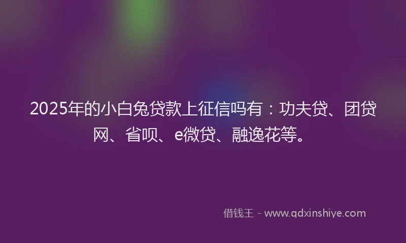 2025年的小白兔贷款上征信吗有：功夫贷、团贷网、省呗、e微贷、融逸花等。