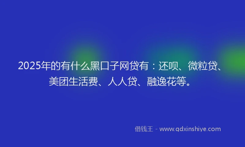 2025年的有什么黑口子网贷有：还呗、微粒贷、美团生活费、人人贷、融逸花等。