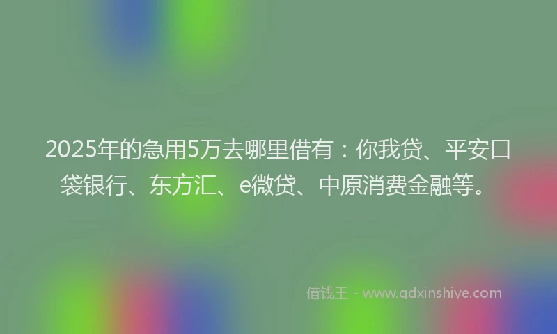 2025年的急用5万去哪里借有：你我贷、平安口袋银行、东方汇、e微贷、中原消费金融等。