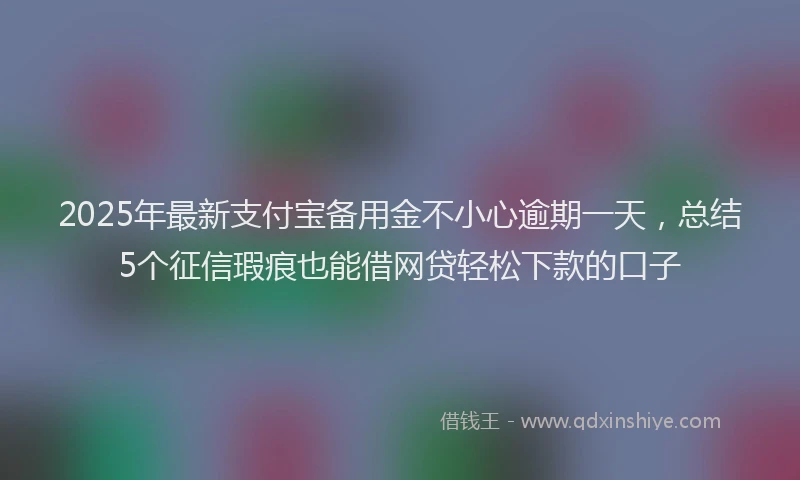 2025年最新支付宝备用金不小心逾期一天，总结5个征信瑕疵也能借网贷轻松下款的口子