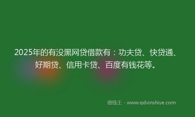 2025年的有没黑网贷借款有：功夫贷、快贷通、好期贷、信用卡贷、百度有钱花等。