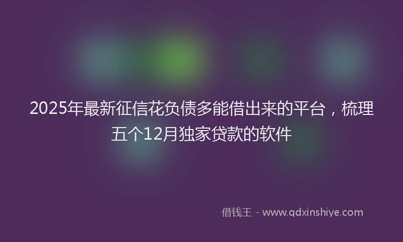 2025年最新征信花负债多能借出来的平台，梳理五个12月独家贷款的软件