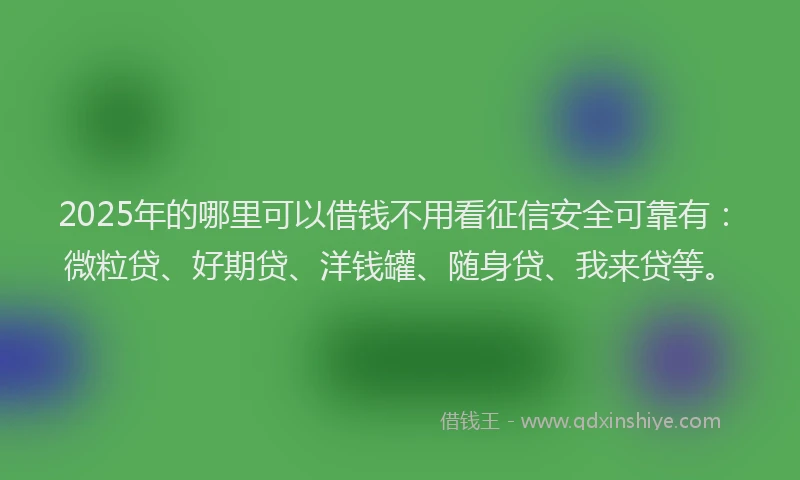2025年的哪里可以借钱不用看征信安全可靠有：微粒贷、好期贷、洋钱罐、随身贷、我来贷等。