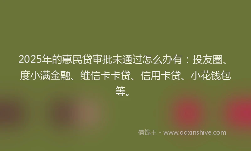 2025年的惠民贷审批未通过怎么办有：投友圈、度小满金融、维信卡卡贷、信用卡贷、小花钱包等。