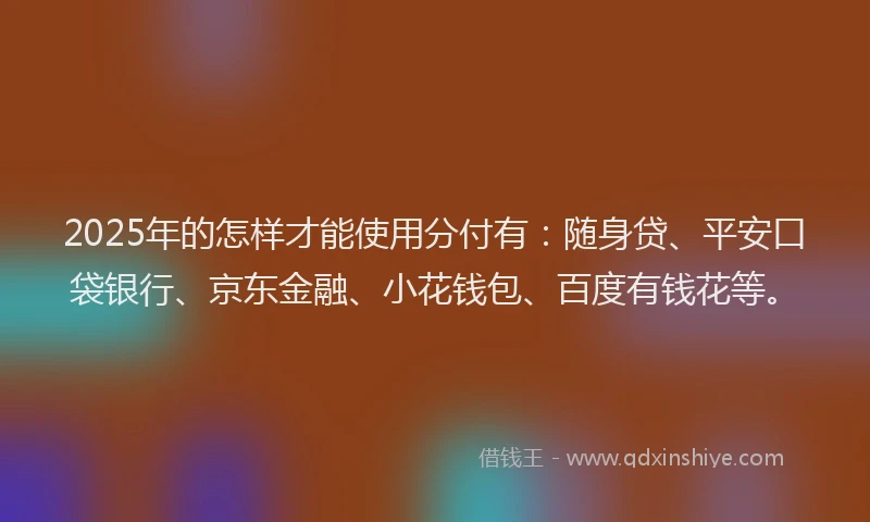 2025年的怎样才能使用分付有：随身贷、平安口袋银行、京东金融、小花钱包、百度有钱花等。