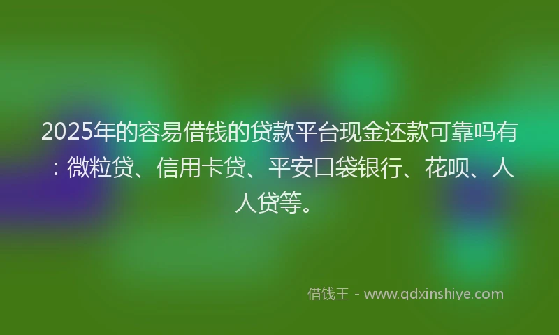 2025年的容易借钱的贷款平台现金还款可靠吗有：微粒贷、信用卡贷、平安口袋银行、花呗、人人贷等。