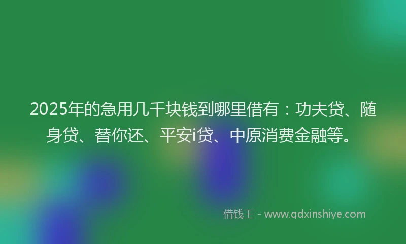 2025年的急用几千块钱到哪里借有：功夫贷、随身贷、替你还、平安i贷、中原消费金融等。
