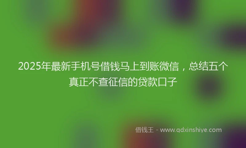 2025年最新手机号借钱马上到账微信，总结五个真正不查征信的贷款口子