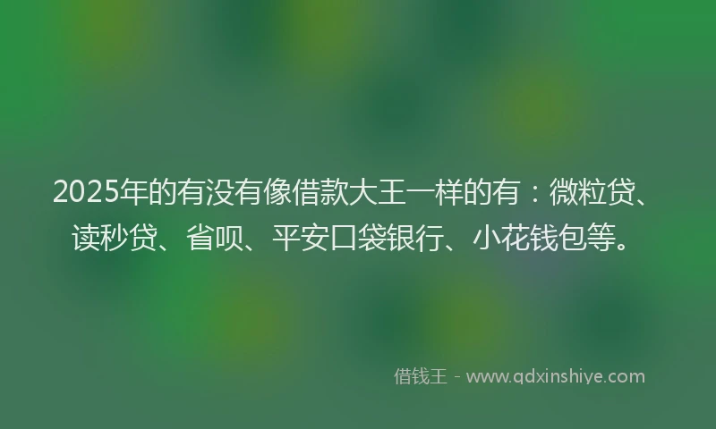2025年的有没有像借款大王一样的有：微粒贷、读秒贷、省呗、平安口袋银行、小花钱包等。