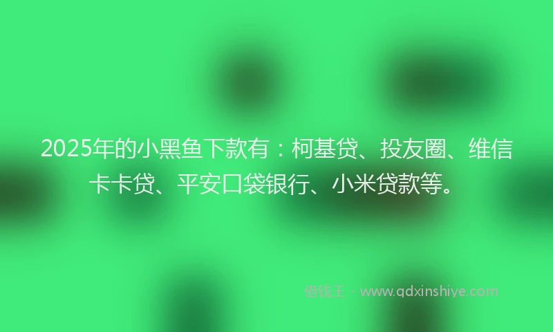 2025年的小黑鱼下款有：柯基贷、投友圈、维信卡卡贷、平安口袋银行、小米贷款等。