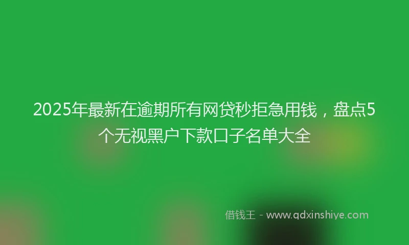 2025年最新在逾期所有网贷秒拒急用钱，盘点5个无视黑户下款口子名单大全