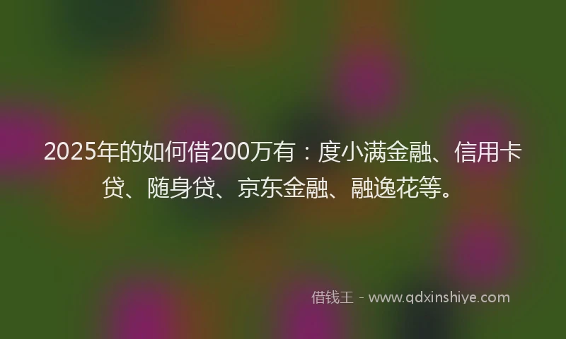 2025年的如何借200万有：度小满金融、信用卡贷、随身贷、京东金融、融逸花等。