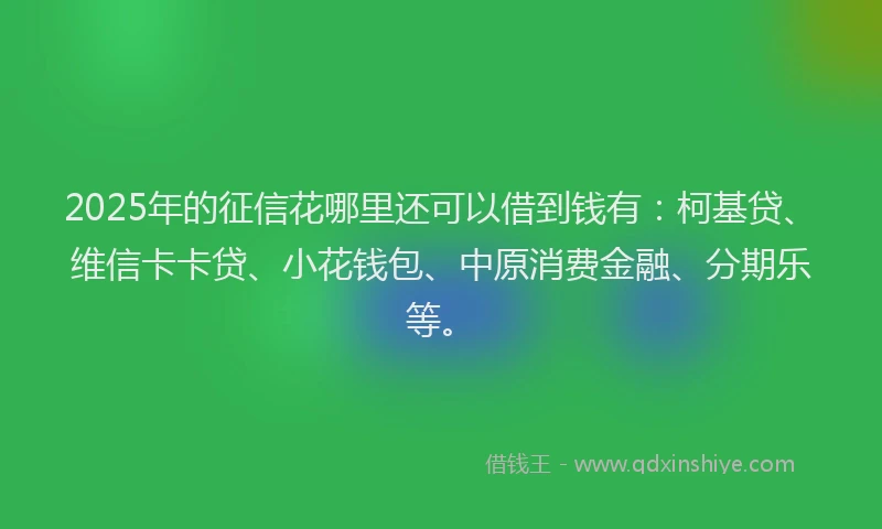 2025年的征信花哪里还可以借到钱有：柯基贷、维信卡卡贷、小花钱包、中原消费金融、分期乐等。