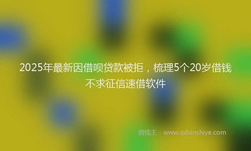 2025年最新因借呗贷款被拒，梳理5个20岁借钱不求征信速借软件