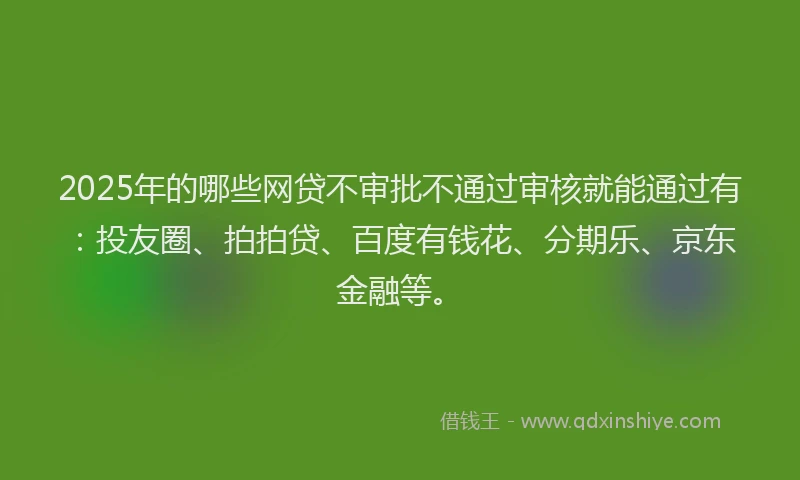 2025年的哪些网贷不审批不通过审核就能通过有：投友圈、拍拍贷、百度有钱花、分期乐、京东金融等。