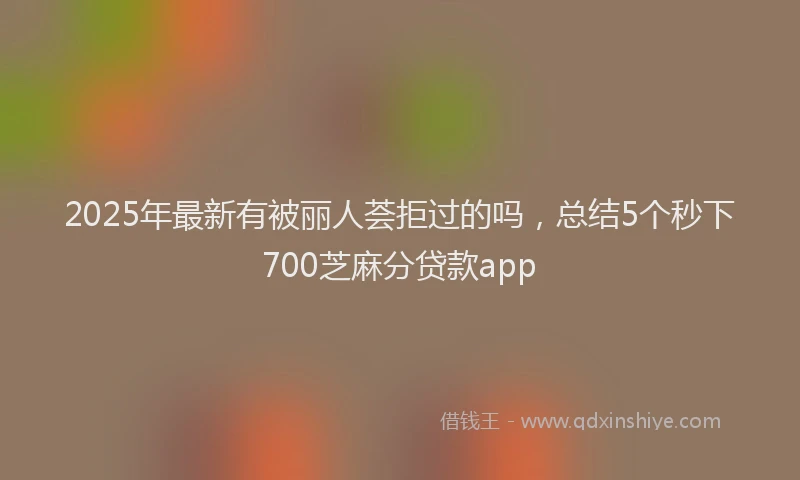 2025年最新有被丽人荟拒过的吗，总结5个秒下700芝麻分贷款app